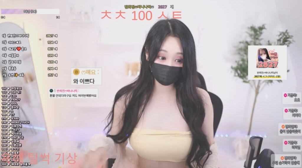 韩国BJ hiziny 粉丝房（剪辑版）【10.4G】-XDGAMES-专注单机游戏试玩及正版推荐!